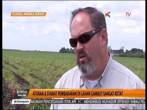 Apakah kalah untuk tetap hidup Pelatihan sirkuit video ke membakar lemak