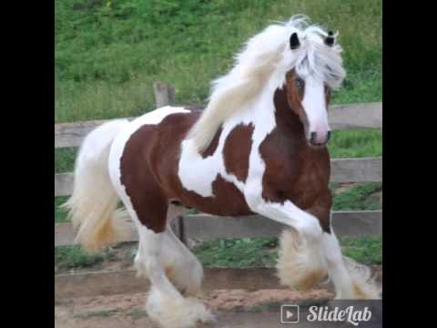 Thomas Doran your wedding day