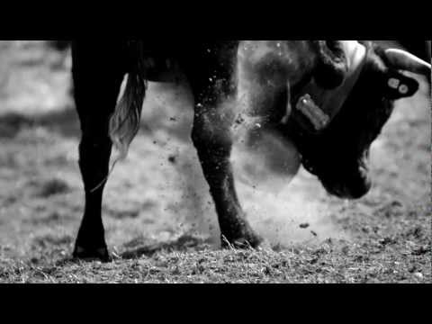 Kampf der Königinnen Teaser