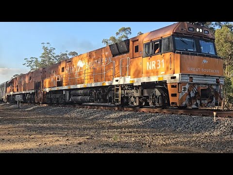 6KT8 JBRE "Great Southern" (NR31, NR30), Deep Lead - Coffs Harbour, 1920, 10/1/25, Deep Lead VIC