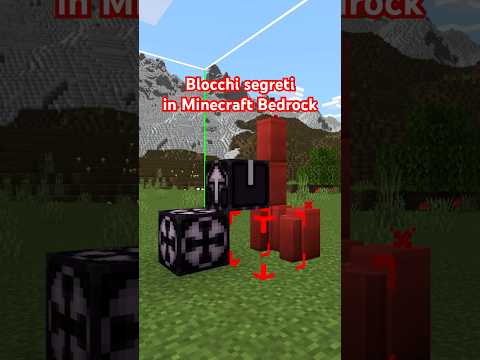 NESSUNO CONOSCE questi BLOCCHI SEGRETI di MINECRAFT