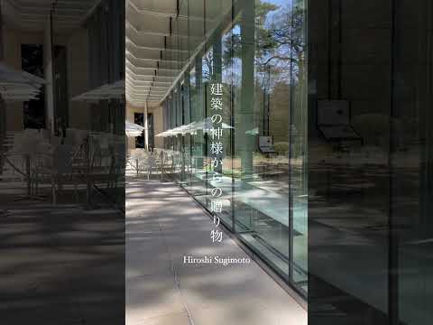 terrasse-couverte-coin-salon-cheminee-revetement-pierre