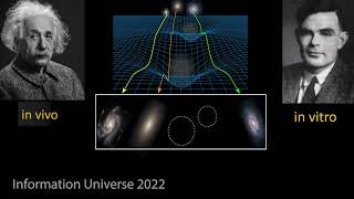 Edwin Valentijn: Testing Gravity models (Verlinde's Emergent  Gravity, MOND and L-CDM) with the RAR