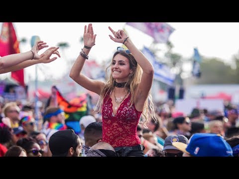 FESTIVAL EDM MIX 2019 - Best Mashup Progressive & Electro House Party Dance Music 2019