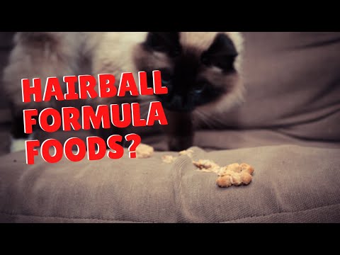 Food To Feed For Hairballs In Cats | Two Crazy Cat Ladies