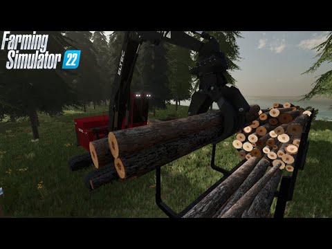 FS22 | logging timelapse | Loggers Paradise #10 |  More logs than I expected