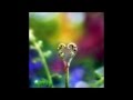 Love Song by  Kelly Sweet