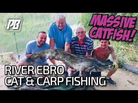 Carp and Cat fishing for River Ebro Monsters part 1 ! *CRAZY*