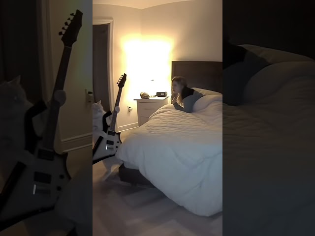 Vídeo relacionado con Gato con Guitarra Eléctrica Rock and Roll Regalo Gatos Camiseta