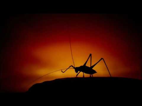 DeepSense Voyager Frisky Radio (February 2016)