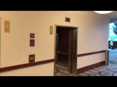 4K 30fps: Schindler Traction Elevators At Hilton Boston Logan Airport - East Boston, Massachusetts