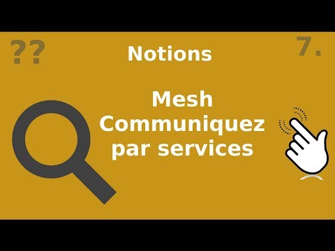 NOTIONS 7 MESH ALIAS SERVICE DISCOVERY