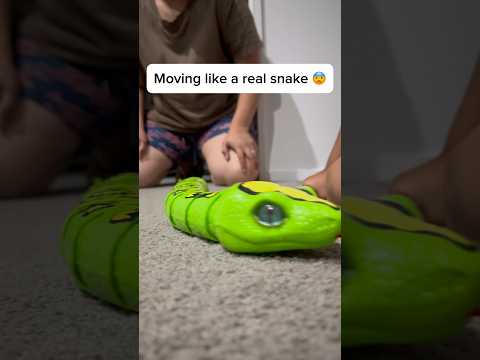 Robo alive king phyton cobra #toy #roboalive #snake