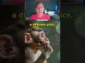 Teaching Monkeys Concept Of Money
