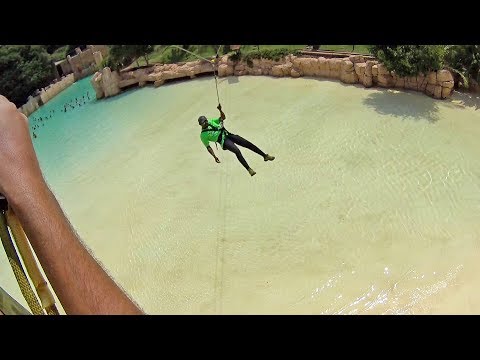 download lagu mp3 mp4 Chimp And Zee Sun City, download lagu Chimp And Zee Sun City gratis, unduh video klip Chimp And Zee Sun City