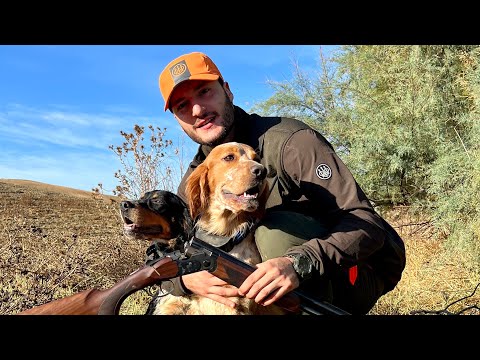 Caccia alle quaglie in Italia: ​⁠Beretta Ultraleggero DM cal.20 🇮🇹