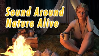 Peaceful Ambience Sounds in the wild - Nature Sounds and ASMR for Sleeping, Yoga, Meditation