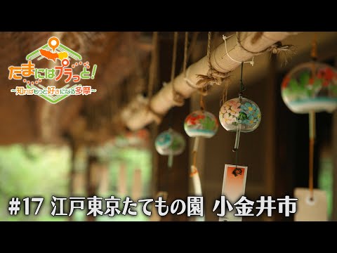 「たまにはプラっと！」　2024年7月26日放送