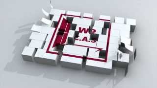 preview picture of video 'After Effects - Intro Logo WPCAS - Box'