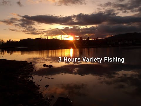 3 Hours Variety Fishing