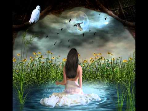 Vitor Miranda   "Bom Filho"