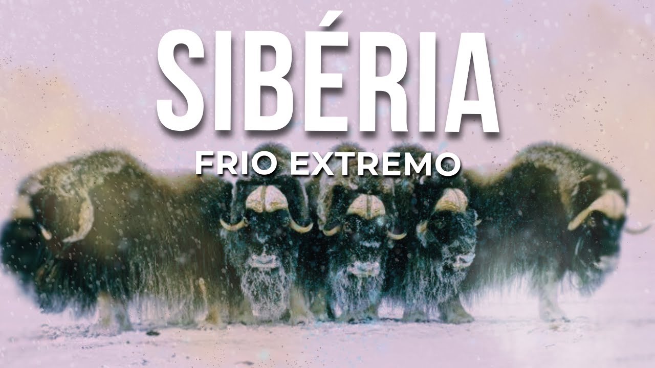 SIBÉRIA AO EXTREMO | Documentário Fascinante Sobre a Vida no Gelo
