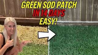 Laying Sod | How Hard Is It Really? 
