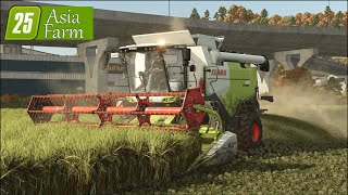 LS 25 Asia Farm #46 Langkornreis ernten und Getreide säen