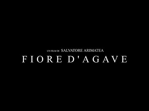 Fiore d'agave trailer1