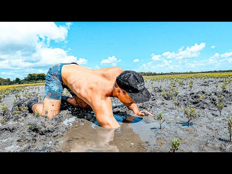 Catching GIANT MUDCRABS With Barehands on Remote Mudflats!