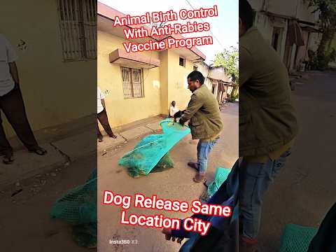 Dog Release Same Location City #dog #release #dogwithpublicsafety #ytviral #pets #dogshorts #shorts