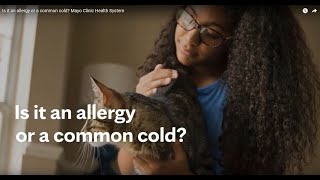 Is it an allergy or a common cold? Mayo Clinic Health System