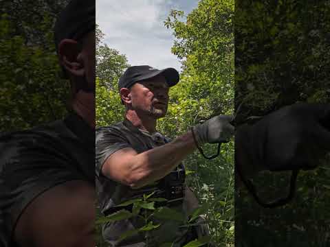 Bush Brigade on deployment again at Damásd Castle!