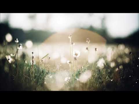 Bing Satellites - Just For A Moment (Full Album)