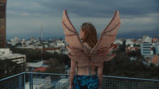 La era de las plantas con flor – trailer | IFFR 2025