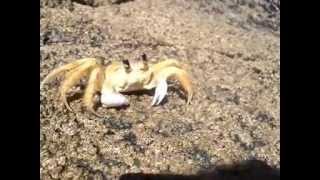 Guarapari-ES Ondas Violentas Praia Setibão