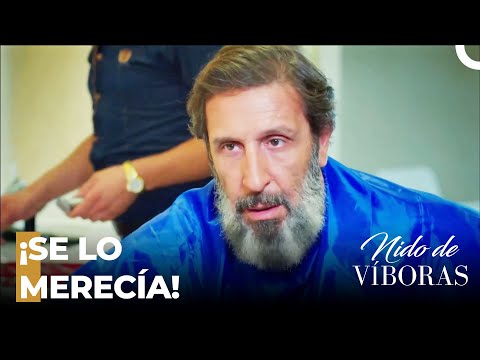 Kudred Impide El Trabajo De Simal - Nido De Víboras