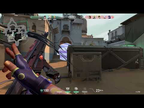 Gekko Vandal 1k 1A 2025 08 01 17 33 24