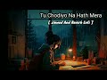 Tu Chodiyo Na Hath Mera Slowed And Reverb Song