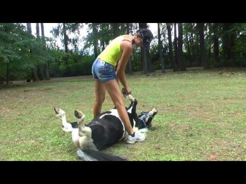 Pozrite si, ako to vyzeralo na Betliarskom country kotlíku 2013 časť 2.