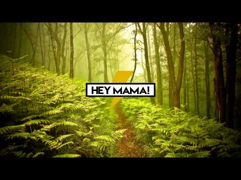 Hey Mama (DISTO Remix)