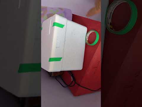hoje o envio de ovos foi para iuiu-BA