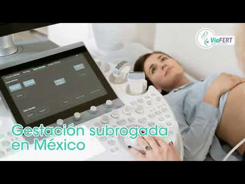 Logo of Comprehensive Guide to the Surrogacy Procedure in Mexico