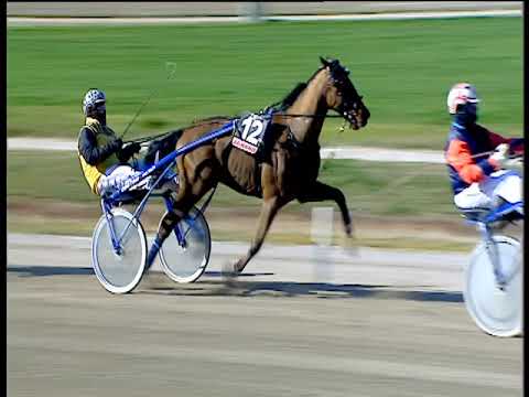 Trotto 17/03/2019 - 2ª corsa