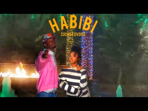 Zuchu ft Dvoice -- Habibi (official visualizer)