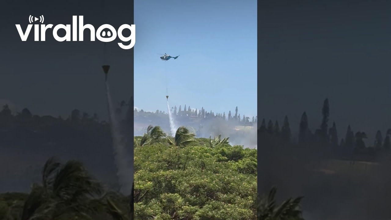 Maui Fire Department Puts Out Brush Fire || ViralHog