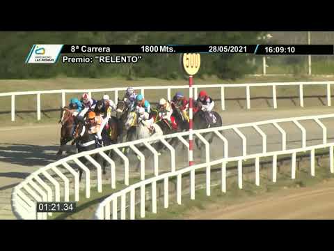 210528 c08 - ALCALDE DEL NORTE - HIPODROMO LAS PIEDRAS