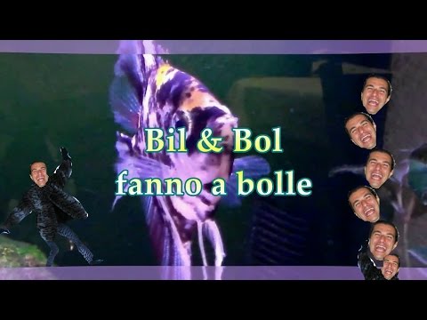 Mi fai girare le bolle! - Bil & Bol #01
