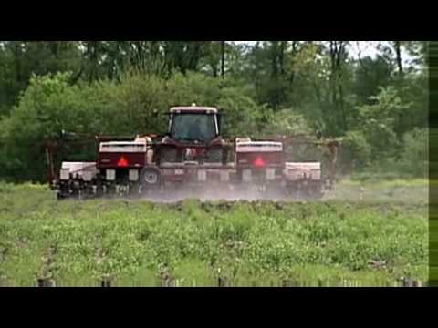 HowStuffWorks Show: Episode 1: Growing Corn