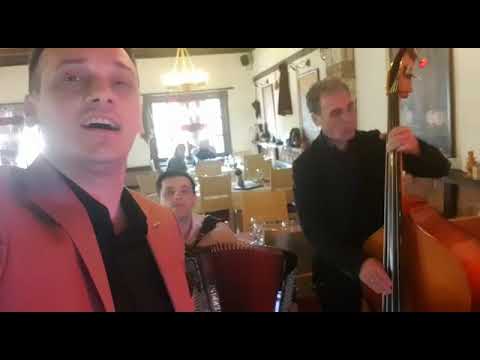 Vlatko Miladinoski - Ajde kamen Jano (LIVE)